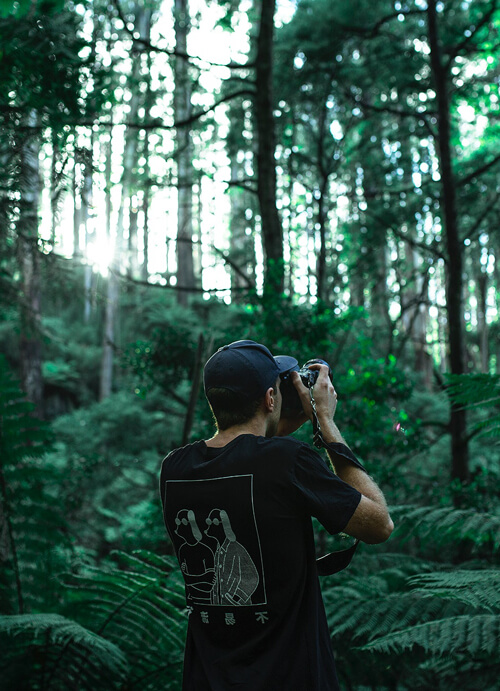 Where does it come from?